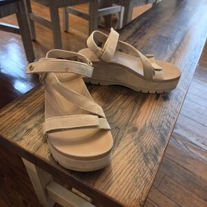 Reef Vista Higher Luna